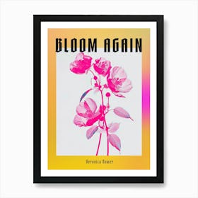 Hot Pink Veronica Flower 1 Poster Art Print