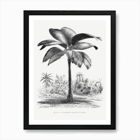 Vintage Palm Tree Art Print _2643185 Art Print