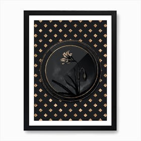 Shadowy Vintage Amaryllis Broussonetii Botanical in Black and Gold n.0025 Art Print