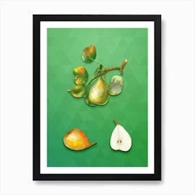 Vintage Pear Botanical Art on Classic Green n.0039 Art Print
