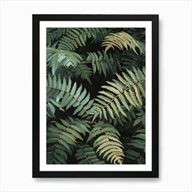 Tassel Fern Painting 4 Art Print