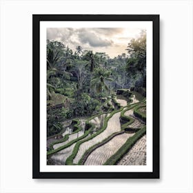 Countryside Art Print