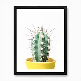 Prickly Cactus Art Print
