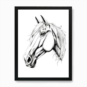 Horse Head Drawing 2 Art Print