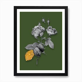 Vintage Anemone Centuries Rose Black and White Gold Leaf Floral Art on Olive Green Art Print