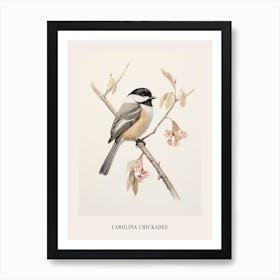 Vintage Bird Drawing Carolina Chickadee 3 Poster Art Print