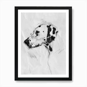 Dalmation Dog Charcoal Line 4 Art Print