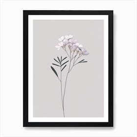 Creeping Phlox Wildflower Simplicity Art Print