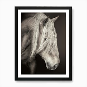 Portrait Of A Horse 1 Poster