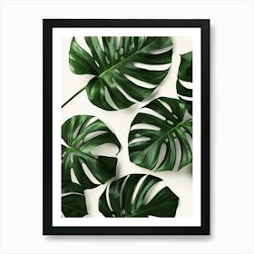 Monstera Leaves 9 Art Print