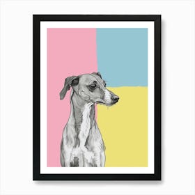 Greyhound Dog Pastel Line Watercolour Illustration  3 Art Print