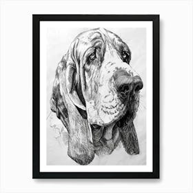 Basset Hound Line Sketch 1 Art Print