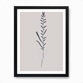 Obedient Plant Wildflower Simplicity Art Print