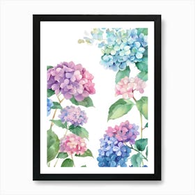 Watercolor Hydrangeas 3 Art Print