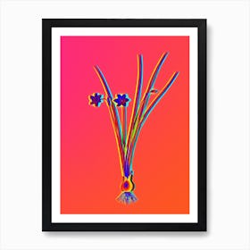 Neon Daffodil Botanical in Hot Pink and Electric Blue n.0491 Art Print