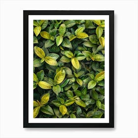 Green Leaves On A Wall Art Print