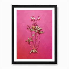 Vintage Lily Of The Incas Botanical Art on Beetroot Purple n.0003 Art Print