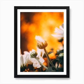 Poster Flower Art Print 18 Art Print