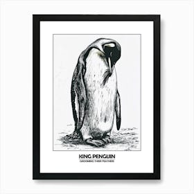 Penguin Grooming Their Feathers Poster 3 Art Print
