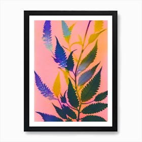 Blue Star Fern Colourful Illustration Art Print