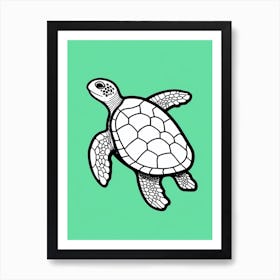 Block Colour Linework Turtle Illustration 1 Art Print