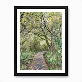 Yellow And Green Autumn Leaves Art Print