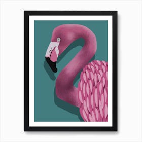 Flamingo Art Print