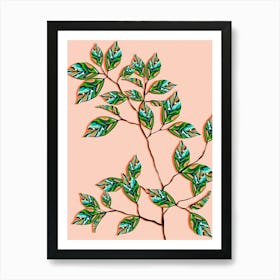 Peach Fuzz Botanical Art Print