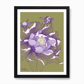 Peony Flower Art Print