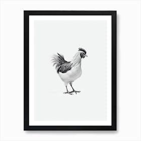 Chicken B&W Pencil Drawing 6 Bird Art Print