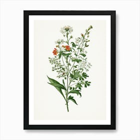 Vintage Botanical Galleria Style Wildflower Painting 46 Art Print