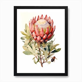 Beehive With Proteas Watercolour Illustration 3 Art Print