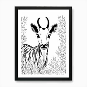 Line Art Jungle Animal Okapi 1 Art Print