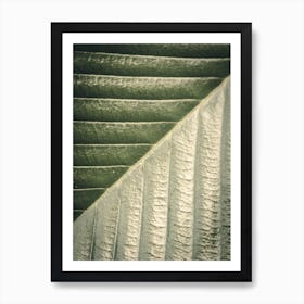 Palm Leaf Ii Art Print