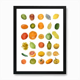 Citrus fruit Art Print