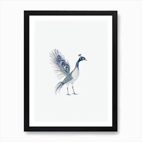 Peacock B&W Pencil Drawing 1 Bird Art Print