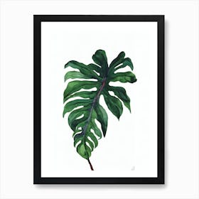 False Aralia (Dizygotheca Elegantissima) Watercolor Art Print