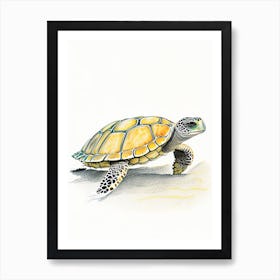 Hawksbill Sea Turtle (Eretmochelys Imbricata), Sea Turtle Pencil Illustration 1 Art Print