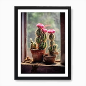 Mammilaria Cactus On A Window  2 Art Print