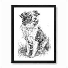 Australian Shepherd Dog Line Sketch 1 Art Print