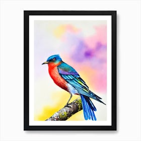 Cuckoo 2 Watercolour Bird Art Print