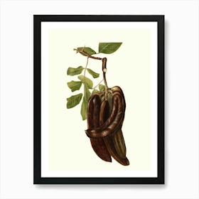 Aphrodisiac Art Print