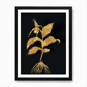 Vintage Yellow Lady's Slipper Orchid Botanical in Gold on Black n.0507 Art Print