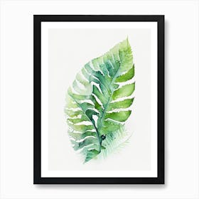 Soft Shield Fern Watercolour Art Print