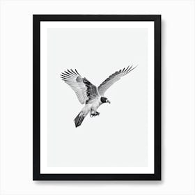 Vulture B&W Pencil Drawing 3 Bird Art Print