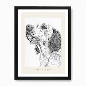 Irish Setter Line Sketch 3 Poster Art Print