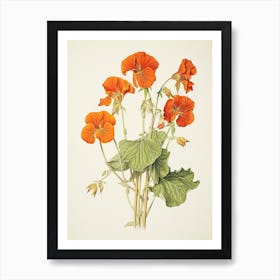 Nasturtiums Flower Vintage Botanical 2 Art Print