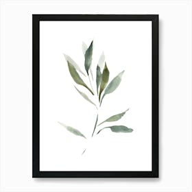 Watercolor Leaf, Olive Branch 1 Art Print