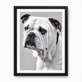 Bulldog B&W Pencil Dog Art Print