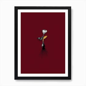 Vintage Cape Tulip Black and White Gold Leaf Floral Art on Burgundy Red n.1091 Art Print